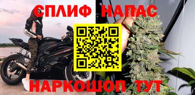 ECSTASY Заводоуковск