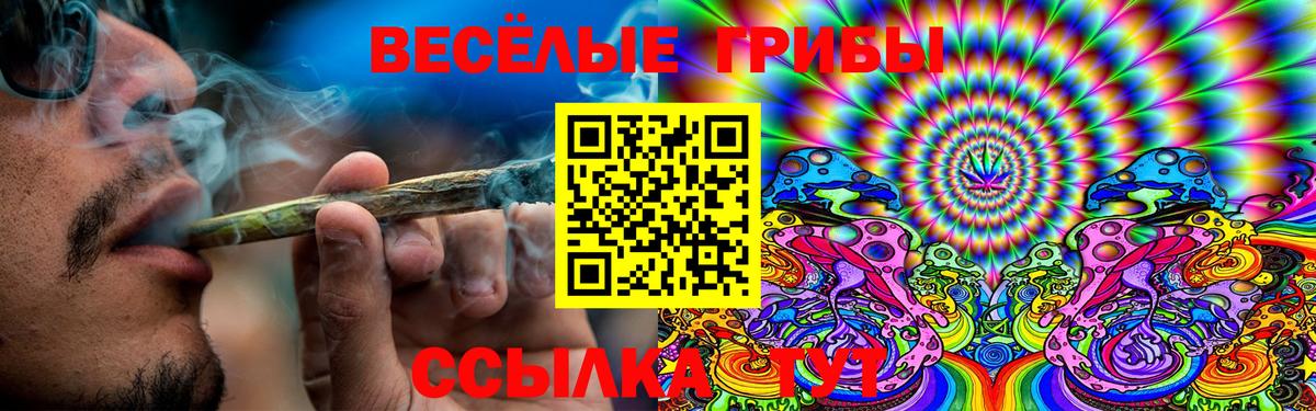 Галлюциногенные грибы Psilocybine cubensis Лабытнанги