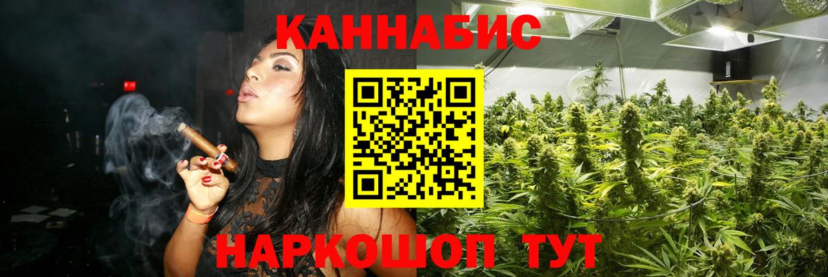 Канабис планчик Лабытнанги